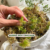 Живий мох Сфагнум, 2 л