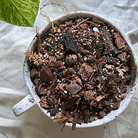 Субстрат для ароїдних, 2 л