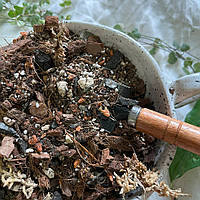 Субстрат для епіфітних, 2 л