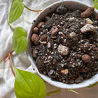 Субстрат для сукулентних, 2 л