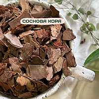 Соснова кора