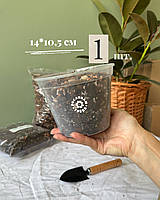 Прозорий горщик 14,0*10,5см.