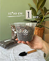 Прозорий горщик 13,0*10см.