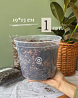 Прозорий горщик 19,0*15,0см