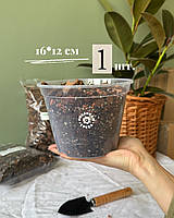 Прозорий горщик 16,0*12,0см