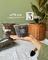 Прозорий горщик 11,0*8,0см 3 шт