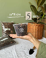 Прозорий горщик 11,0*8,0см 5 шт