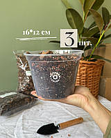 Прозорий горщик 16,0*12,0см 3 шт.