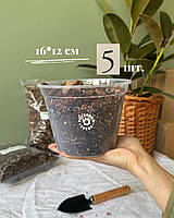 Прозорий горщик 16,0*12,0см 5 шт.