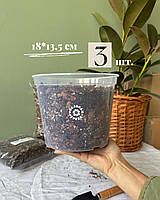 Прозорий горщик 18,0*13,5см 3 шт.