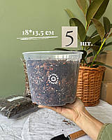 Прозорий горщик 18,0*13,5см 5 шт.