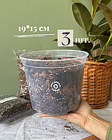 Прозорий горщик 19,0*15,0см 3 шт.