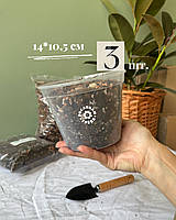 Прозорий горщик 14,0*10,5см. 3 шт.