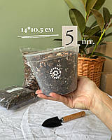 Прозорий горщик 14,0*10,5см. 5 шт.