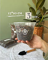 Прозорий горщик 13,0*10см. 3 шт.