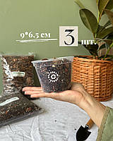 Прозорий горщик 09,0*6,5см. 3 шт.